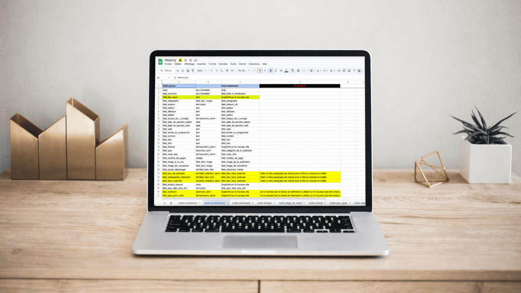 Ordinateur portable avec tableur ouvert, sur un bureau avec plante et décorations.